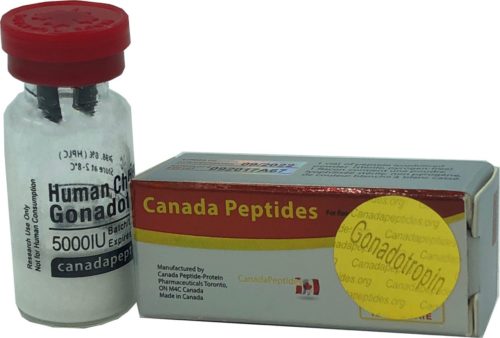 Gonadotropin (HCG) Canada Peptides 5000iu (INT)
