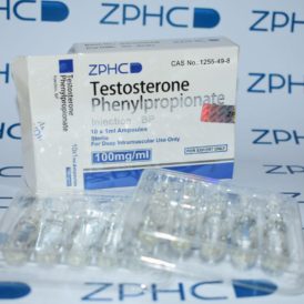 Testosterone Phenylpropionate ZPHC 100mg/ml, 10amps (INT)