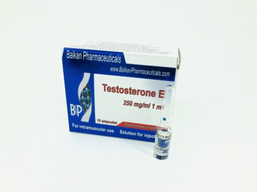 Testosterone E Balkan Pharmaceuticals 250mg/ml, 10amps (INT)