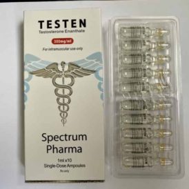 TESTEN Spectrum Pharma 300mg/ml, 10amps (INT)