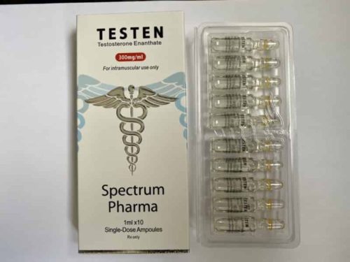 TESTEN Spectrum Pharma 300mg/ml, 10amps (INT)